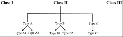 Diagram showing the classification of Biological Safety Cabinets (BSCs) into three main classes: Class I, Class II, and Class III.